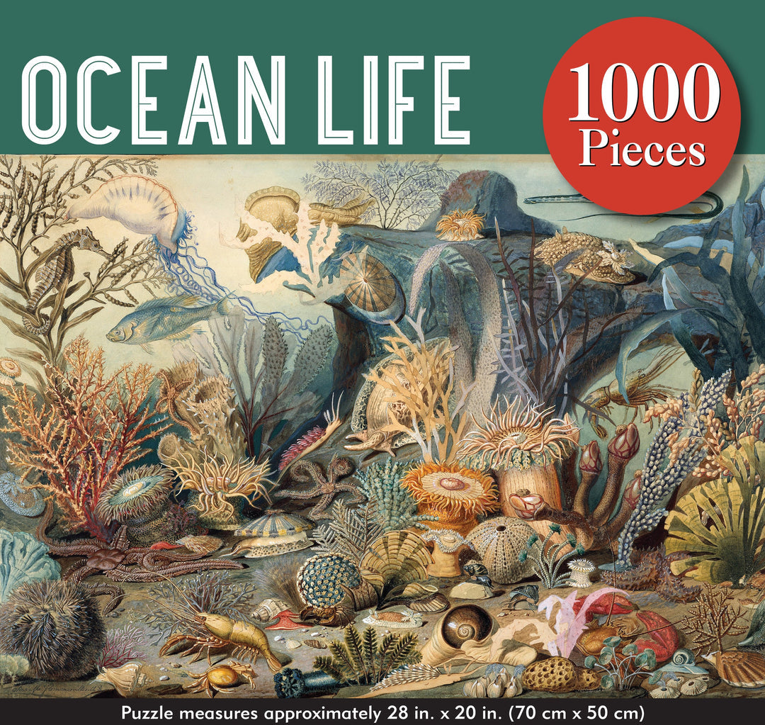 Ocean Life 1000 Piece Jigsaw Puzzle