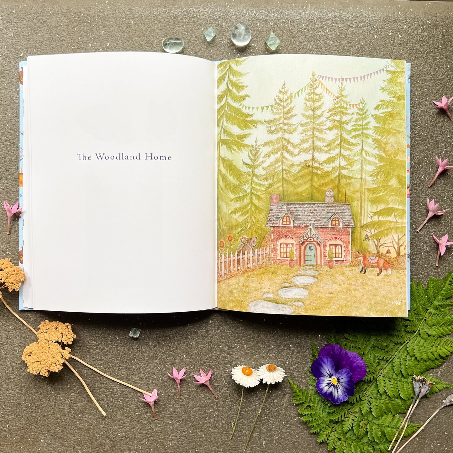 Woodland Homestead Book