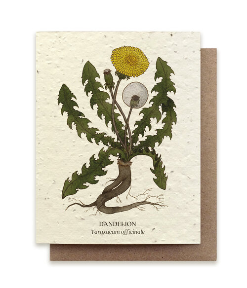Dandelion Plantable Wildflower Card