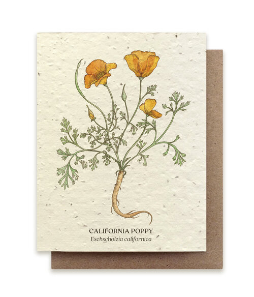 California Poppy Plantable Wildflower Card