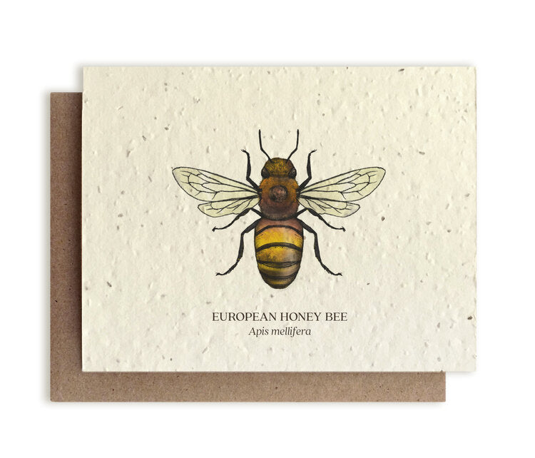 European Honey Bee Plantable Wildflower Card