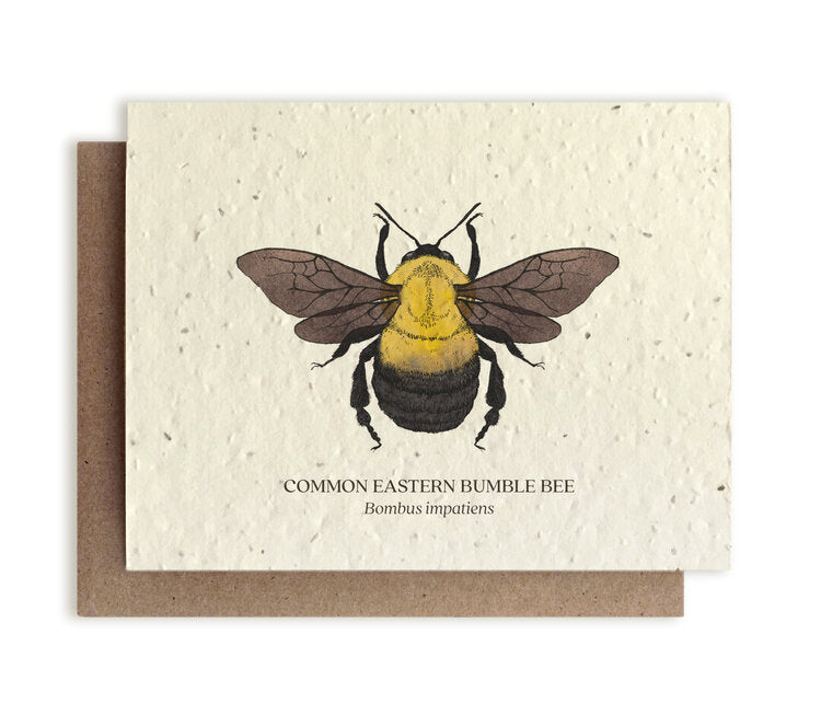 Common Eastern Bumble Bee Plantable Wildflower Card
