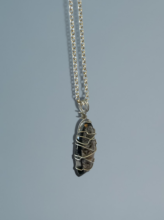 Cephalopod Fossil Necklace