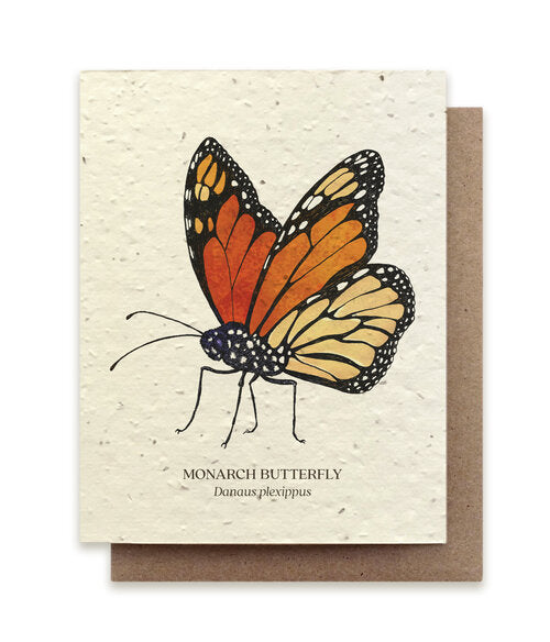Monarch Butterfly Plantable Wildflower Card
